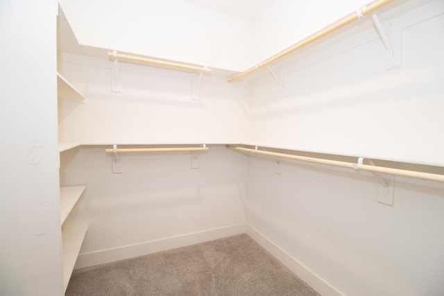 153 N Bliss Ave, Fresno, CA 93727 - spacious closet featuring carpet floors