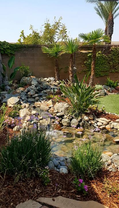1982 N Todd Hedrick, Clovis, CA 93619 - view of yard featuring a small pond