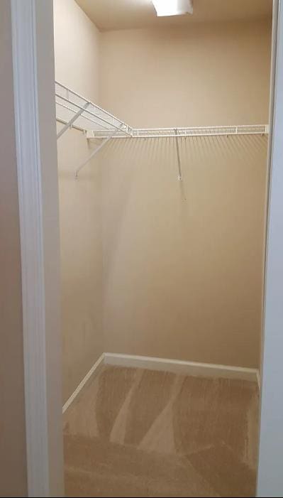 1982 N Todd Hedrick, Clovis, CA 93619 - walk in closet featuring light carpet