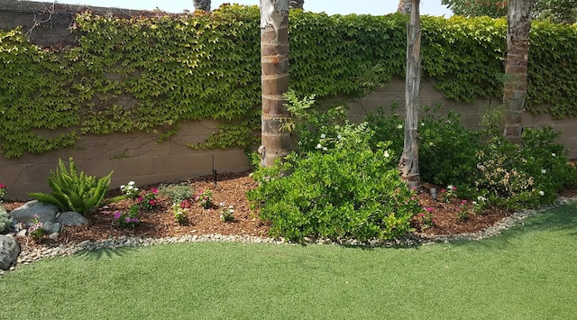1982 N Todd Hedrick, Clovis, CA 93619 - view of yard