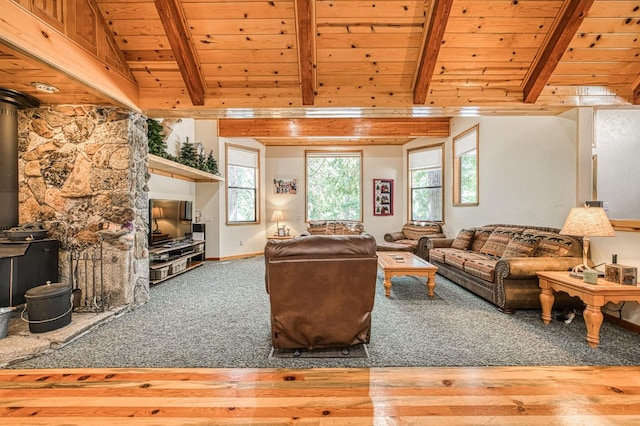 41798 Saddleback Rd, Shaver Lake, CA 93664 - living area featuring wood ceiling, a wood stove, and wood finished floors