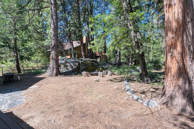 41798 Saddleback Rd, Shaver Lake, CA 93664 - view of yard
