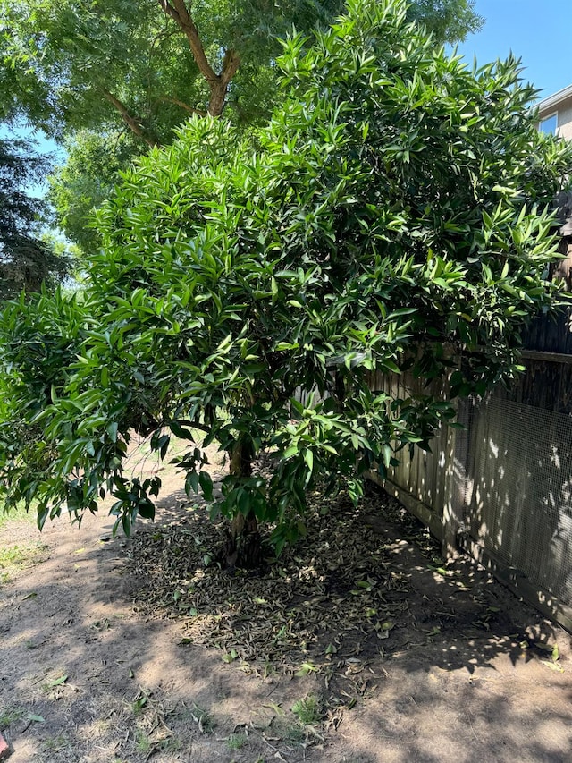650 N Burgan Ave, Fresno, CA 93727 - view of yard