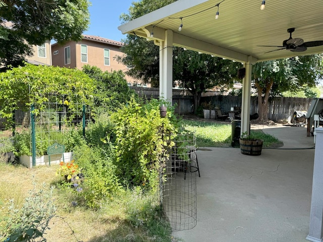 650 N Burgan Ave, Fresno, CA 93727 - view of patio with a ceiling fan and a vegetable garden