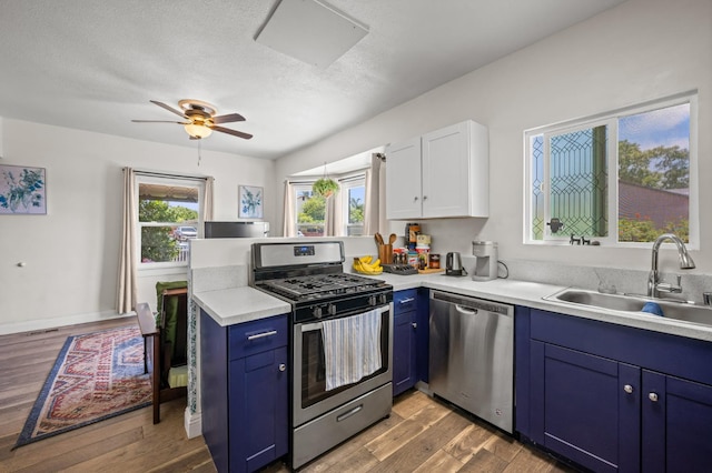 3144 Vista Ave, San Diego, CA 91945 - kitchen featuring stainless steel appliances, a peninsula, blue cabinets, light wood-style floors, and light countertops
