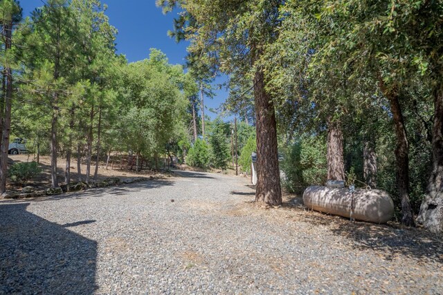 38475 Sierra Lakes Dr, Oakhurst, CA 93644 - view of yard