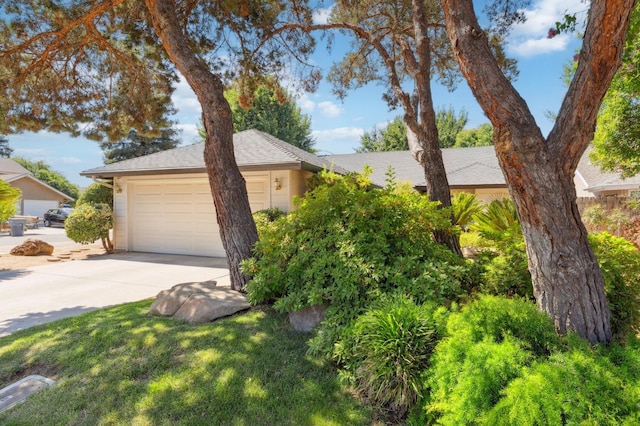 1059 E Fallbrook Ave, Fresno, CA 93720 - view of front facade with driveway, a garage, and roof with shingles