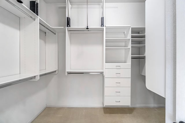 2663 E Spice Way, Fresno, CA 93720 - spacious closet with light carpet