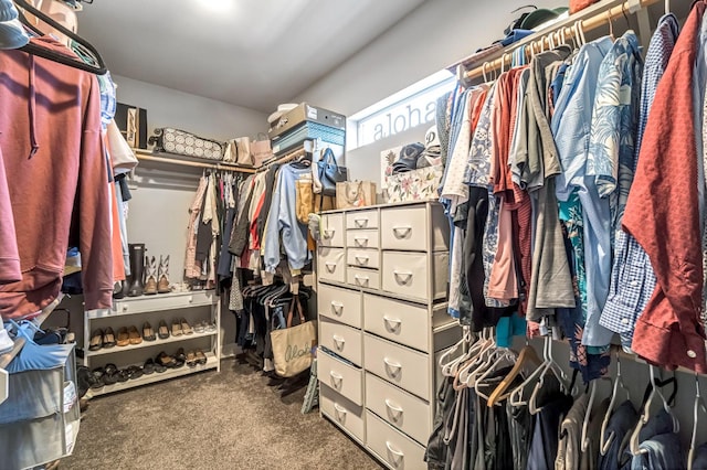2076 Chennault Ave, Clovis, CA 93611 - walk in closet featuring carpet floors