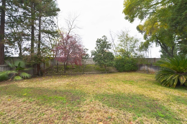 10521 N Doheny Ave, Fresno, CA 93730 - view of fenced backyard