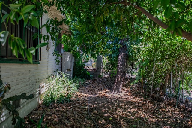 1439 S 4 Th St, Fresno, CA 93702 - view of yard