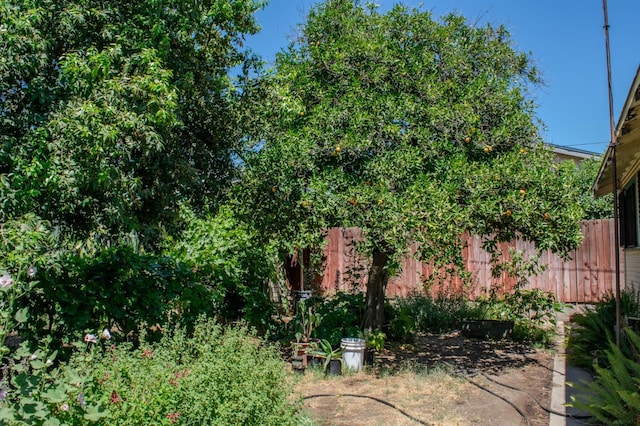 1439 S 4 Th St, Fresno, CA 93702 - view of yard