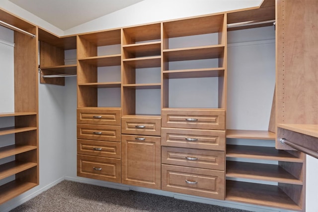 122 E Loop, Madera, CA 93637 - spacious closet with dark colored carpet and lofted ceiling