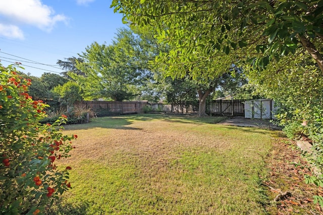 513 W Fountain Way, Fresno, CA 93705 - view of fenced backyard