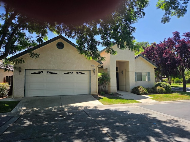 2300 Sierra St Unit 130, Kingsburg, CA 93631 - photo 4