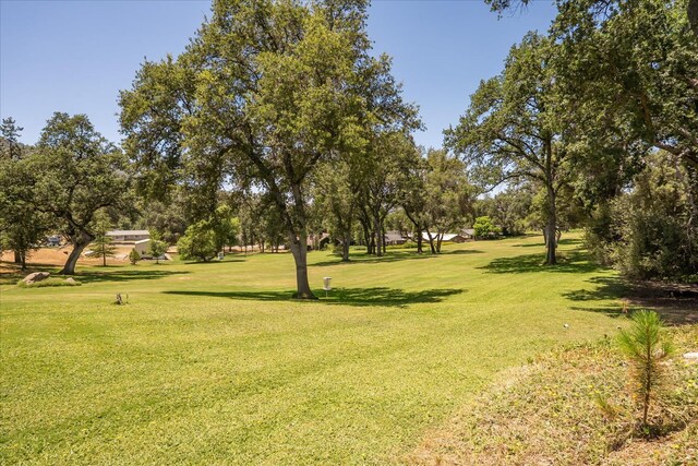 40656 Goldside Dr, Oakhurst, CA 93644 - photo 40