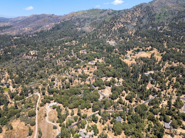 6065 Monte Vista Ln, Mariposa, CA 95338 - photo 13