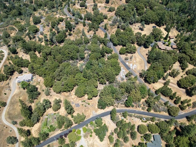 6065 Monte Vista Ln, Mariposa, CA 95338 - photo 4