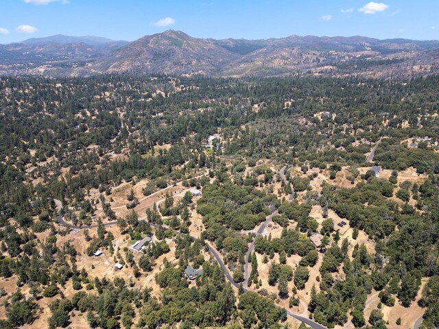 6065 Monte Vista Ln, Mariposa, CA 95338 - photo 9