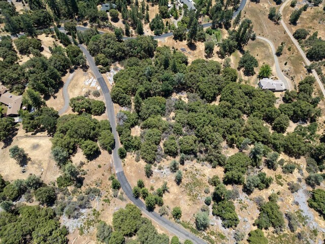 6065 Monte Vista Ln, Mariposa, CA 95338 - photo 11