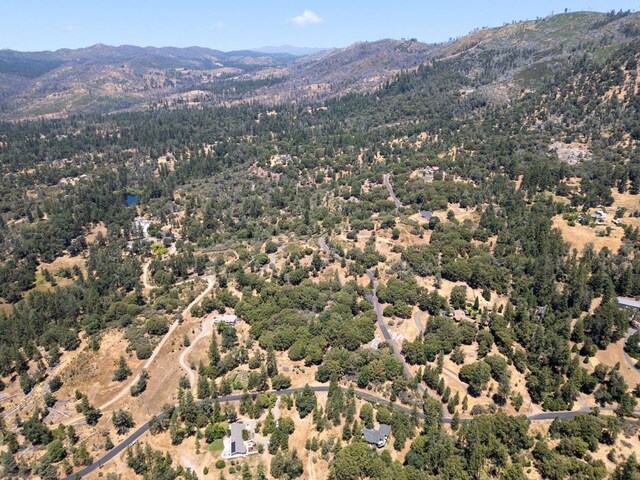 6065 Monte Vista Ln, Mariposa, CA 95338 - photo 10
