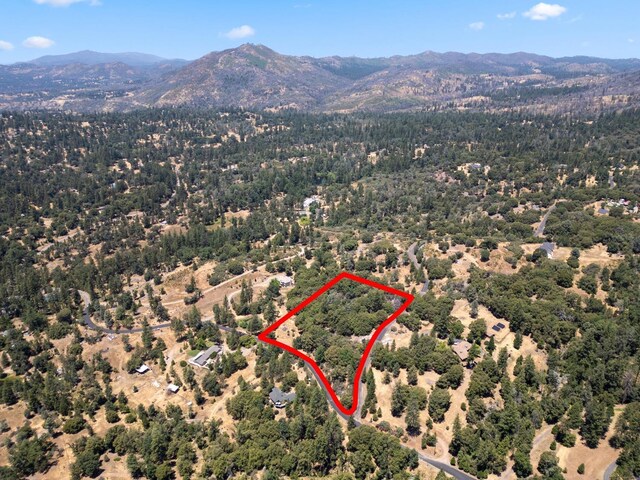 6065 Monte Vista Ln, Mariposa, CA 95338 - photo 6