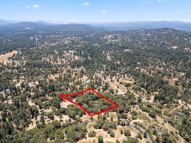 6065 Monte Vista Ln, Mariposa, CA 95338 - photo 8