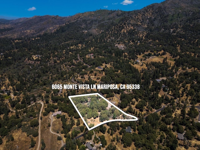 6065 Monte Vista Ln, Mariposa, CA 95338 - photo 2