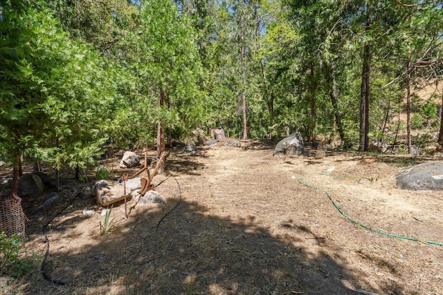 2385 Parmabelle Rd, Mariposa, CA 95338 - photo 67