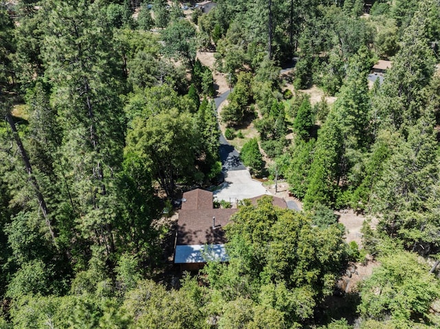 2385 Parmabelle Rd, Mariposa, CA 95338 - photo 58