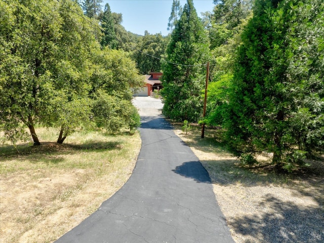 2385 Parmabelle Rd, Mariposa, CA 95338 - photo 7