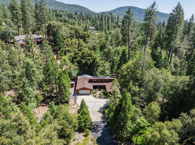 2385 Parmabelle Rd, Mariposa, CA 95338 - photo 59