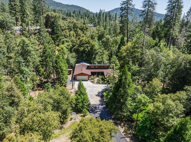 2385 Parmabelle Rd, Mariposa, CA 95338 - photo 60