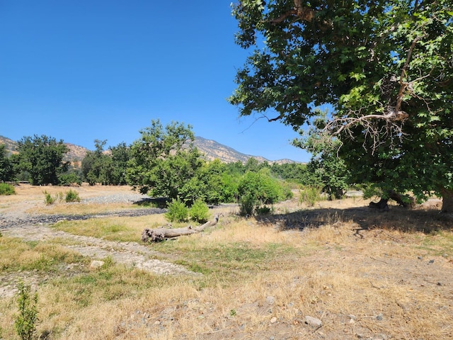 9 Live Oak Dr, Tbd, Sanger, CA 93657