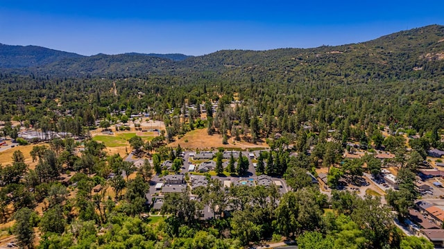 49400 River Park Rd Unit 37, Oakhurst, CA 93644 - photo 27