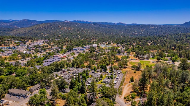 49400 River Park Rd Unit 37, Oakhurst, CA 93644 - photo 28