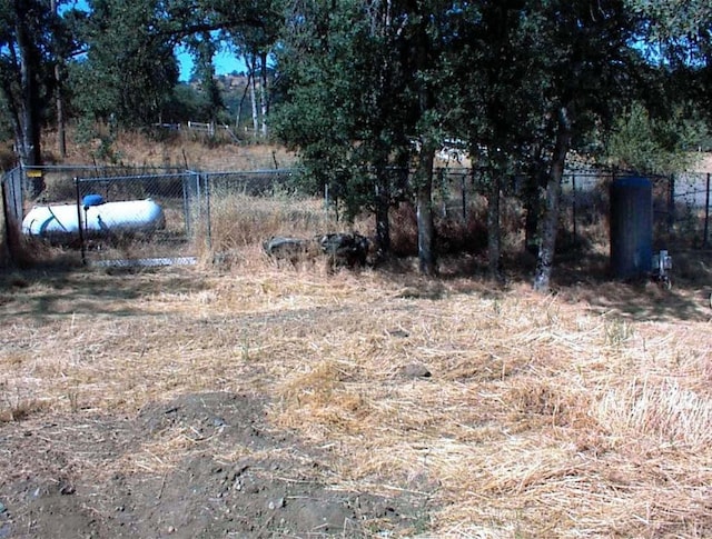 34937 Bronco Ln, Yokuts Valley, CA 93675 - view of yard