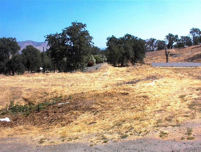34937 Bronco Ln, Yokuts Valley, CA 93675 - view of yard with a view of countryside