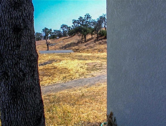 34937 Bronco Ln, Yokuts Valley, CA 93675 - view of yard