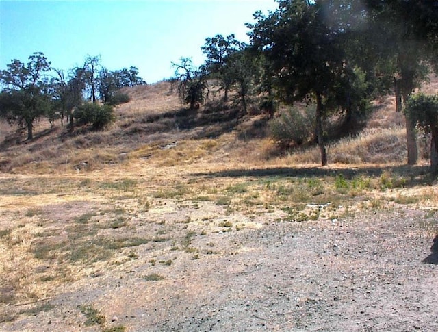 34937 Bronco Ln, Yokuts Valley, CA 93675 - view of undeveloped land featuring rural landscape