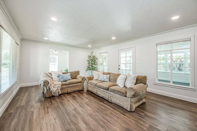 927 W Pico Ave, Fresno, CA 93705 - living room featuring a textured ceiling, crown molding, dark wood-style floors, and recessed lighting