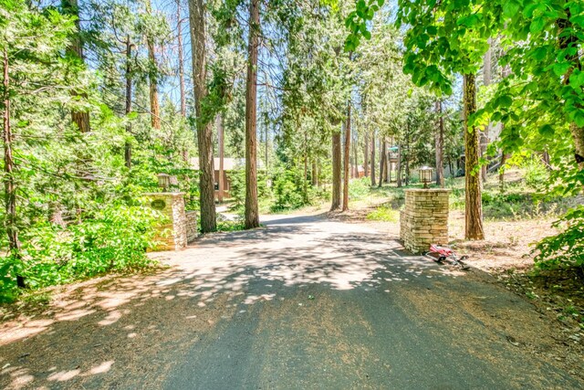39145 Checkerbloom Ln, Shaver Lake, CA 93664 - photo 43