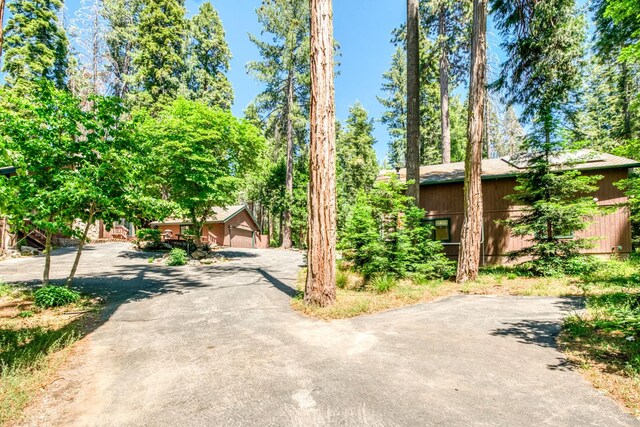 39145 Checkerbloom Ln, Shaver Lake, CA 93664 - photo 44