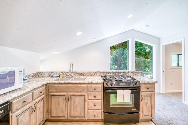 39145 Checkerbloom Ln, Shaver Lake, CA 93664 - photo 37