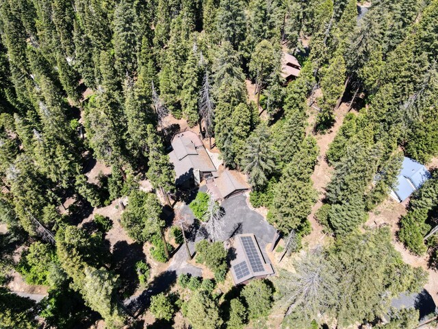 39145 Checkerbloom Ln, Shaver Lake, CA 93664 - photo 55