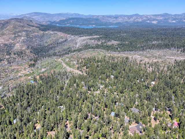 39145 Checkerbloom Ln, Shaver Lake, CA 93664 - photo 58