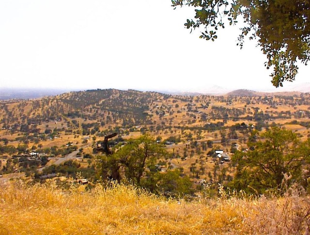 294 Cougar Ln, Yokuts Valley, CA 93675 - photo 9