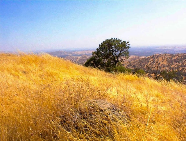 294 Cougar Ln, Yokuts Valley, CA 93675 - photo 11