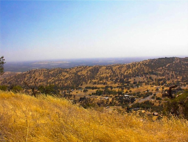 294 Cougar Ln, Yokuts Valley, CA 93675 - photo 10