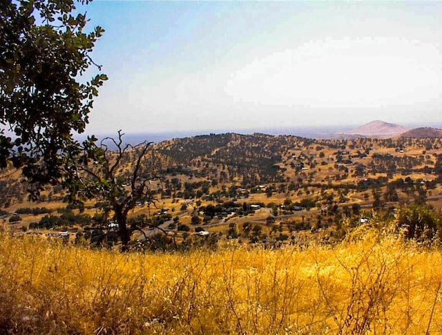 294 Cougar Ln, Yokuts Valley, CA 93675 - photo 6